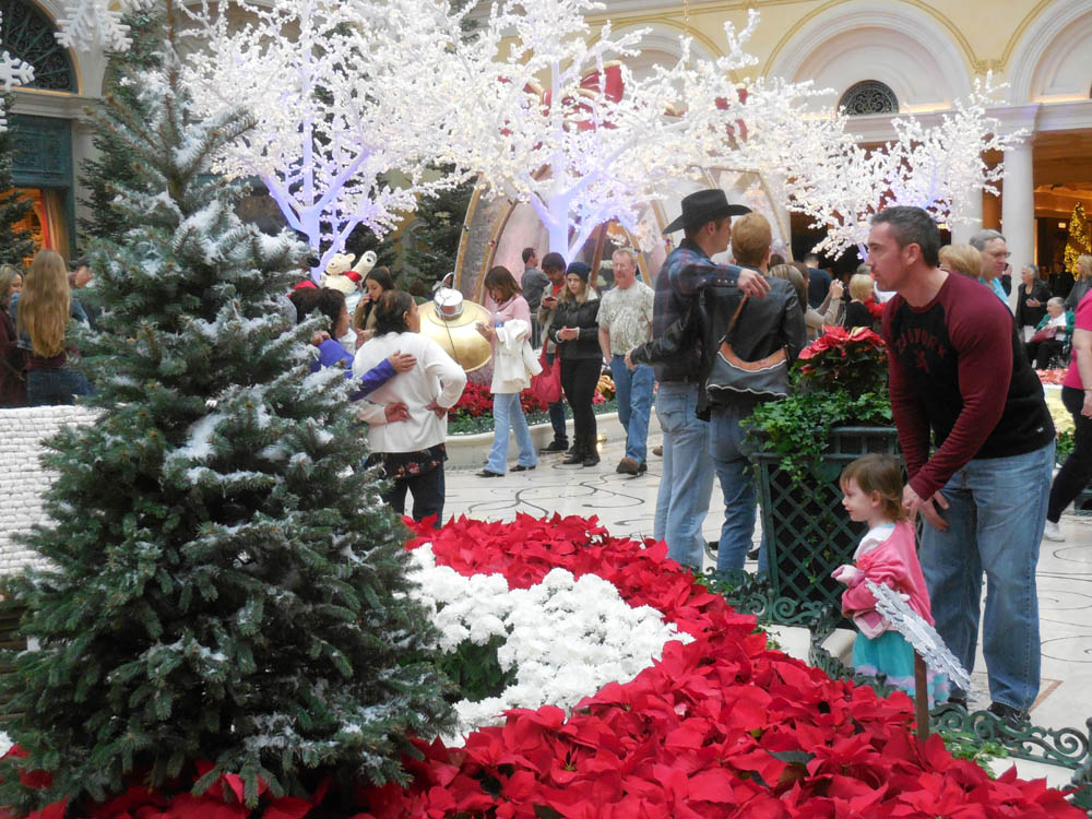 december_mandy and noah at bellagio