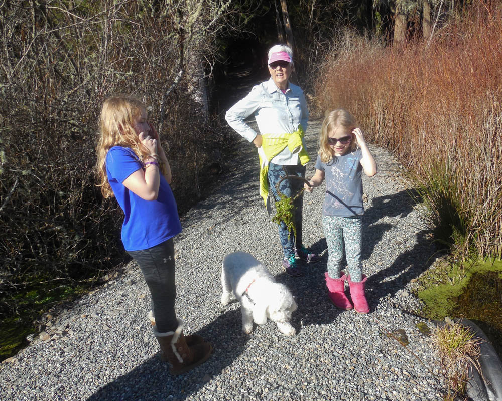march_maddy alfie stef and katie at tree farm