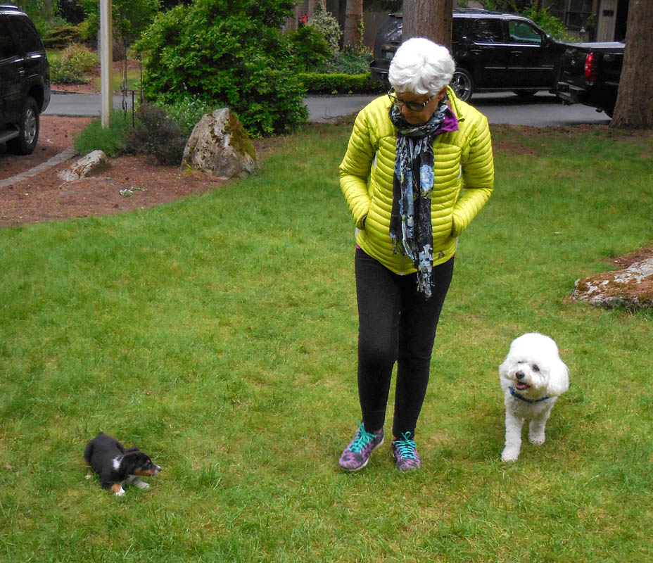 may_brooks stef and alfie