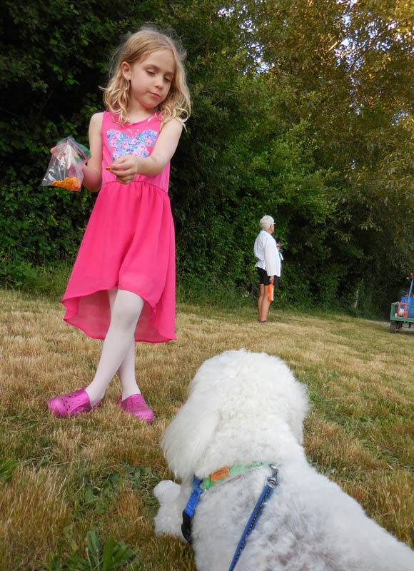 may_katie stef and alfie at maddy softball