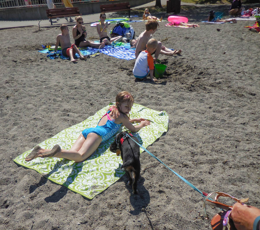 july_katie and brooks at juanita beach