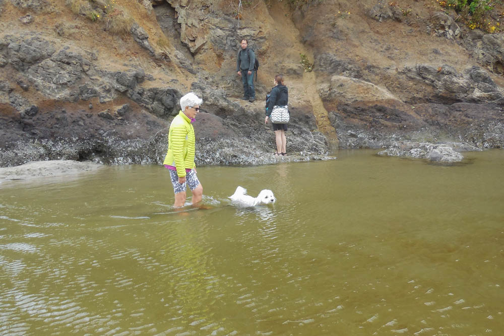 july_stef and alfie_neskowin