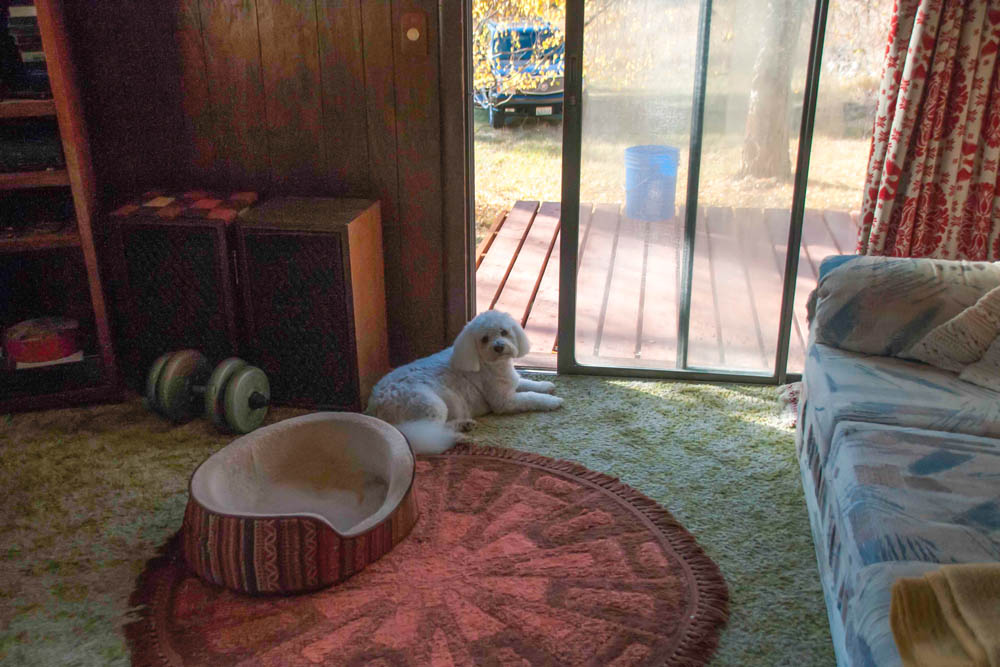 october_alfie in addy