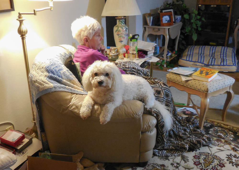 december_stef and alfie