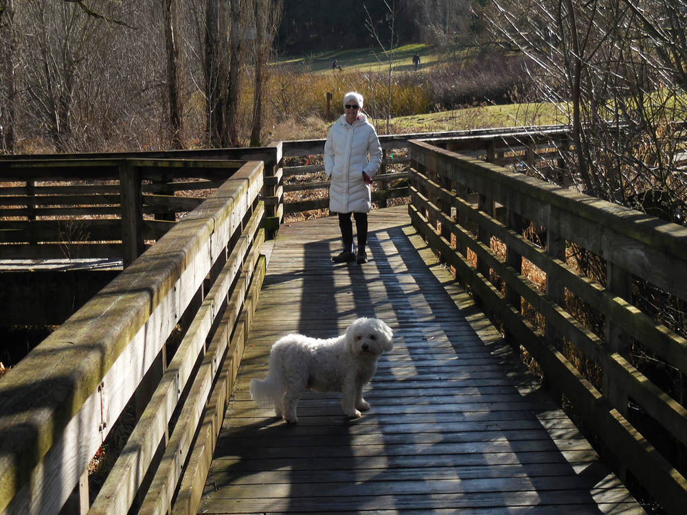 january_stef and alfie at juanita bay 2017