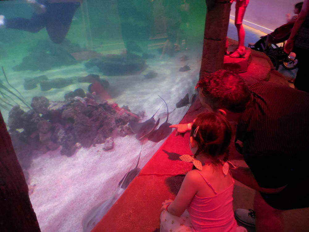 july_mandy and noah at aquarium las vegas 2017