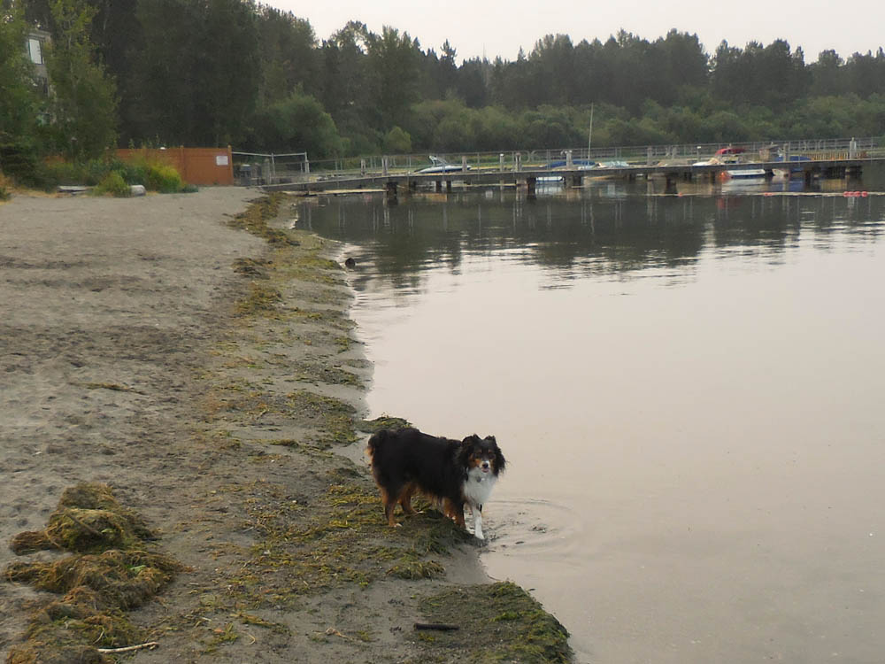 august_brooks at juanita beach 2017