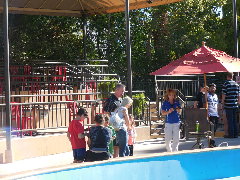 november_noah sandy and mandy vegas aquarium 2017