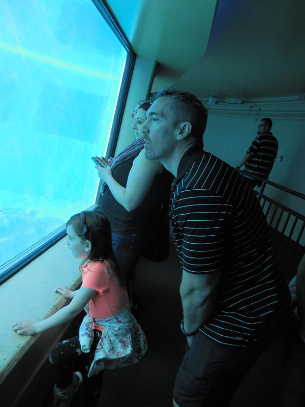 november_noah and mandy vegas aquarium 2017