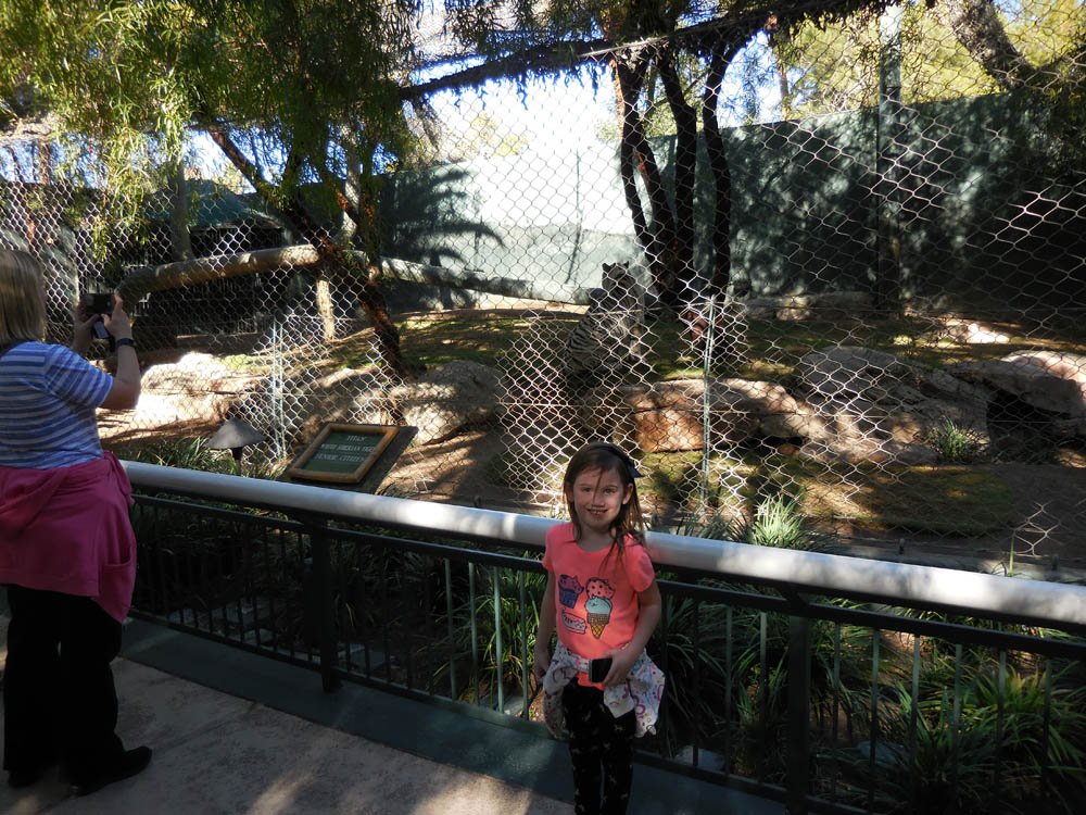 november_mandy vegas zoo 2017