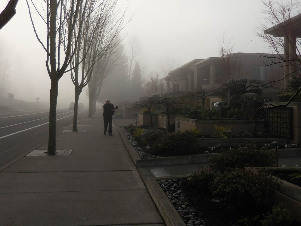 december_godfrey kirkland 2017