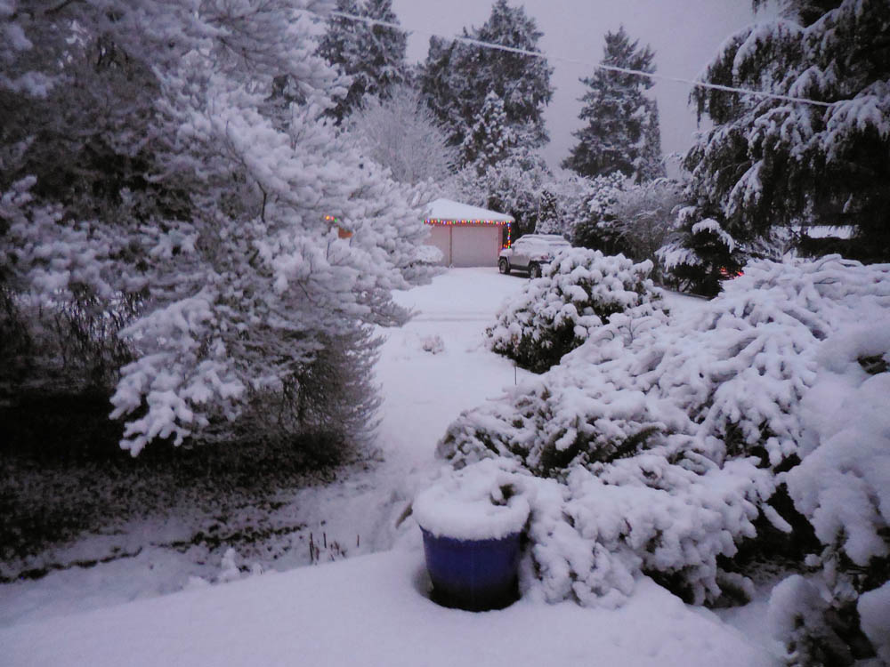 december_xmas day snow at stefs 2017