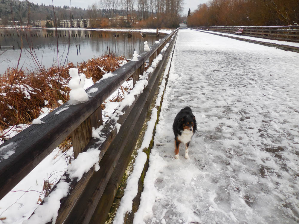 december_brooks juanita causeway 2017
