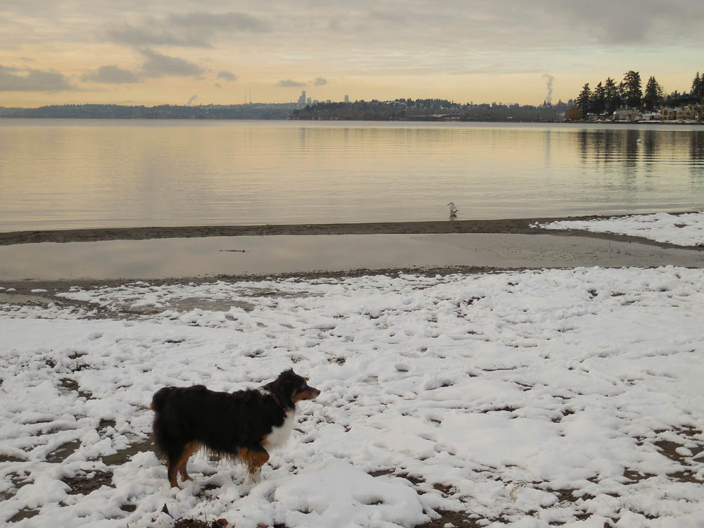december_brooks at juanita beach 2017