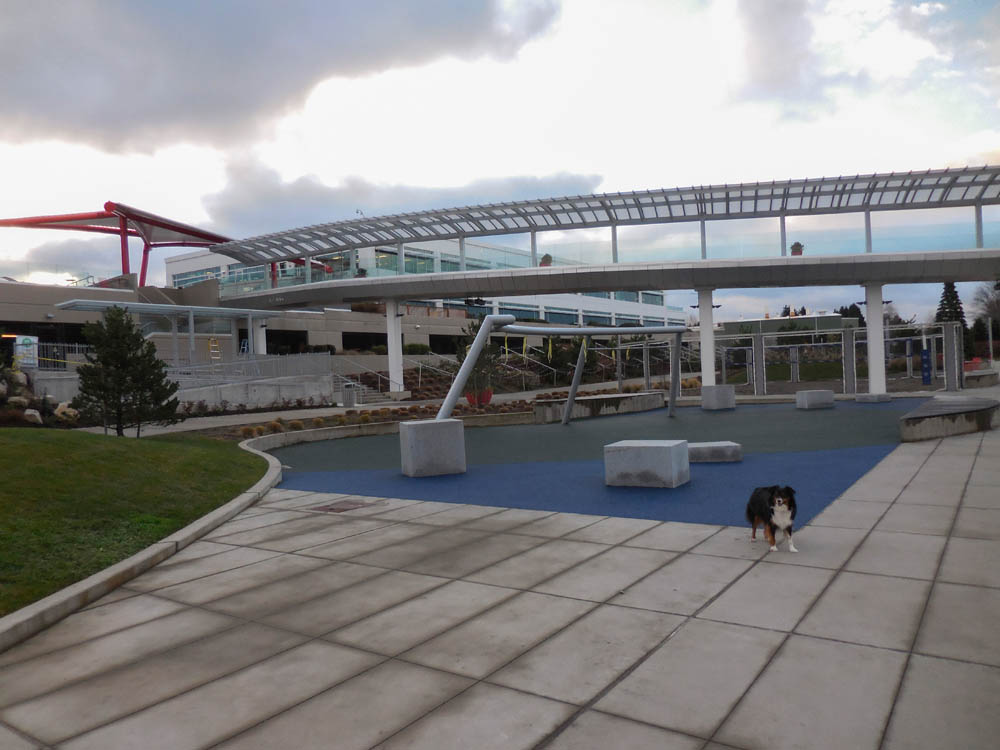 december_brooks at google kirkland 2017