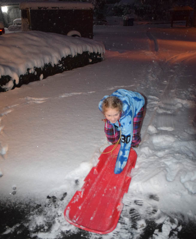 february_maddy snow in sammamish feb 4