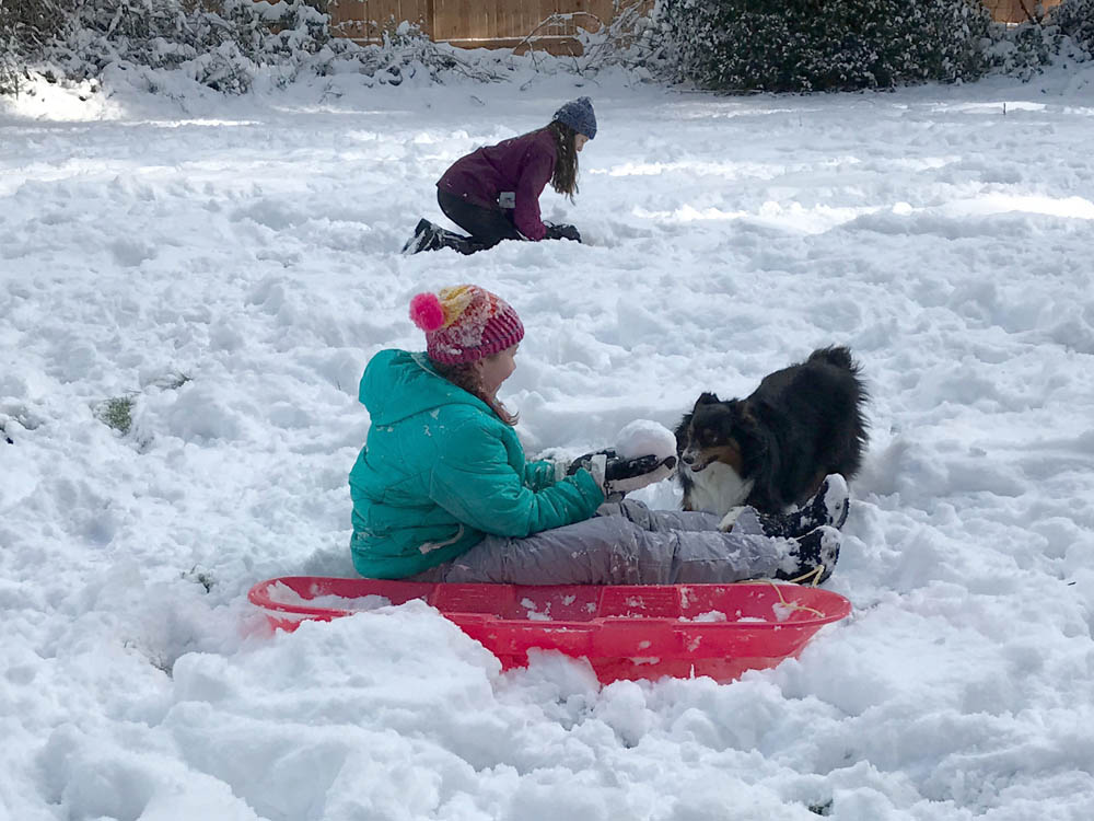february_maddy and brooks snow in sammamish