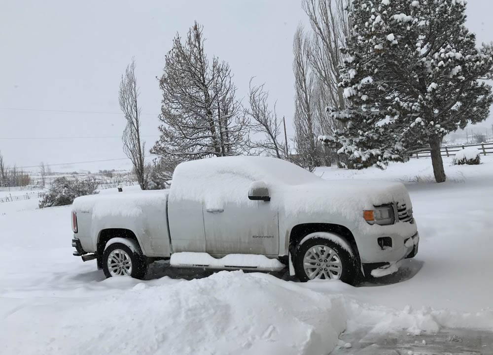 february_snow at thorp feb 12
