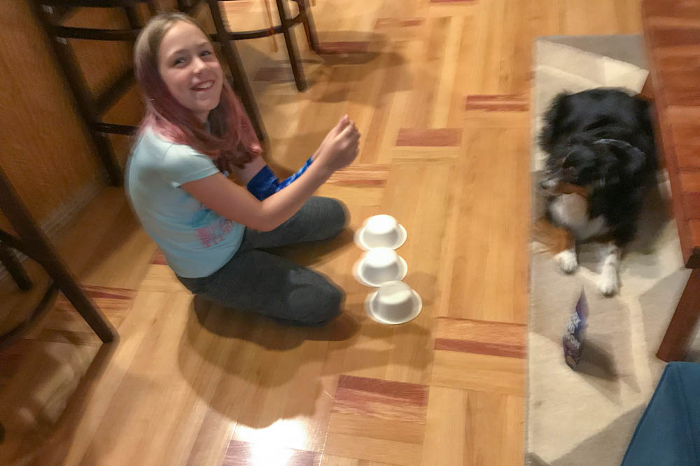 may_katie and brooks shell game