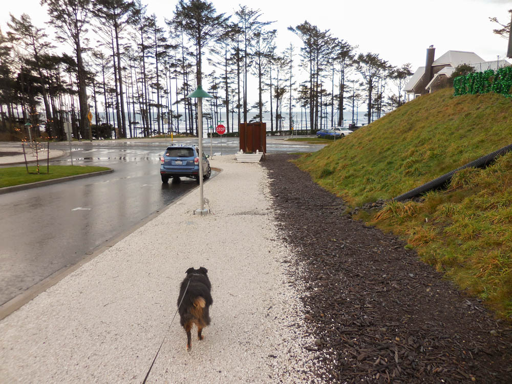 november_brooks at seabrook