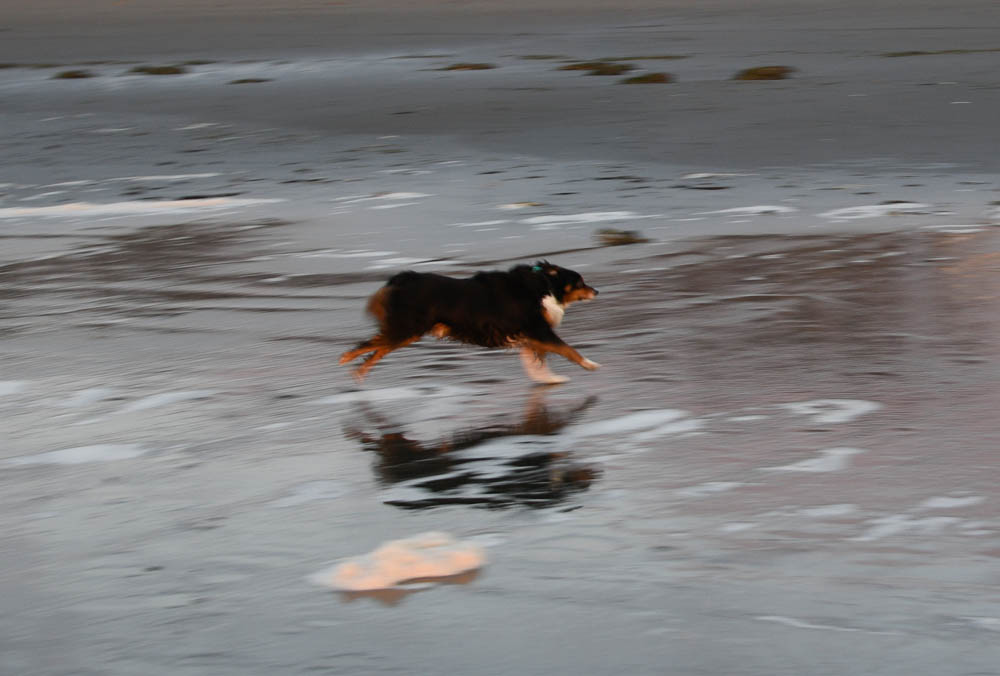 november_brooks at seabrook