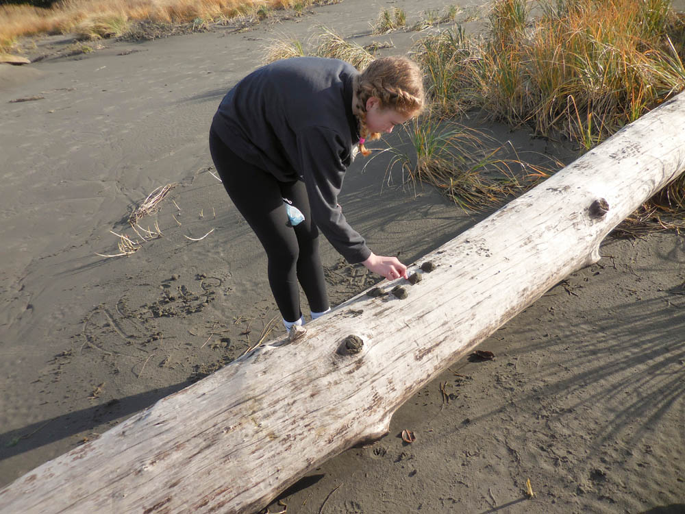 november_maddy at seabrook