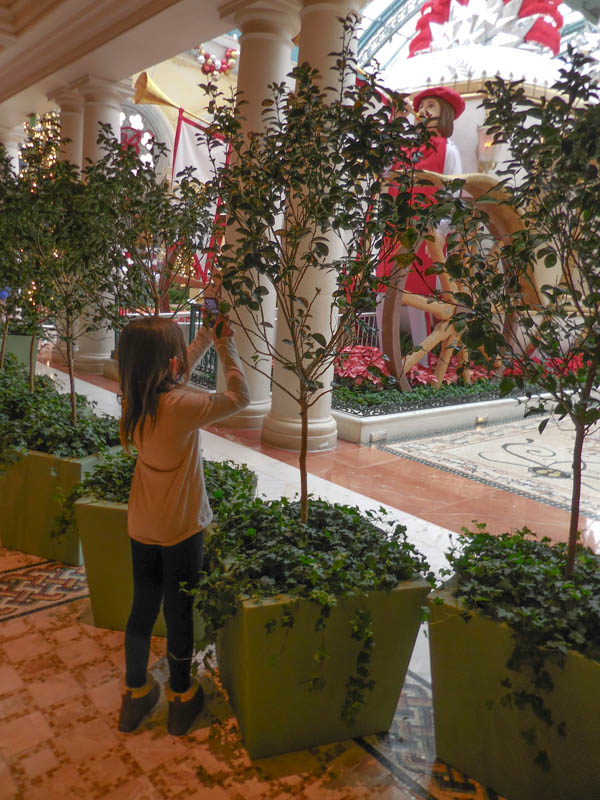 december_mandy at bellagio