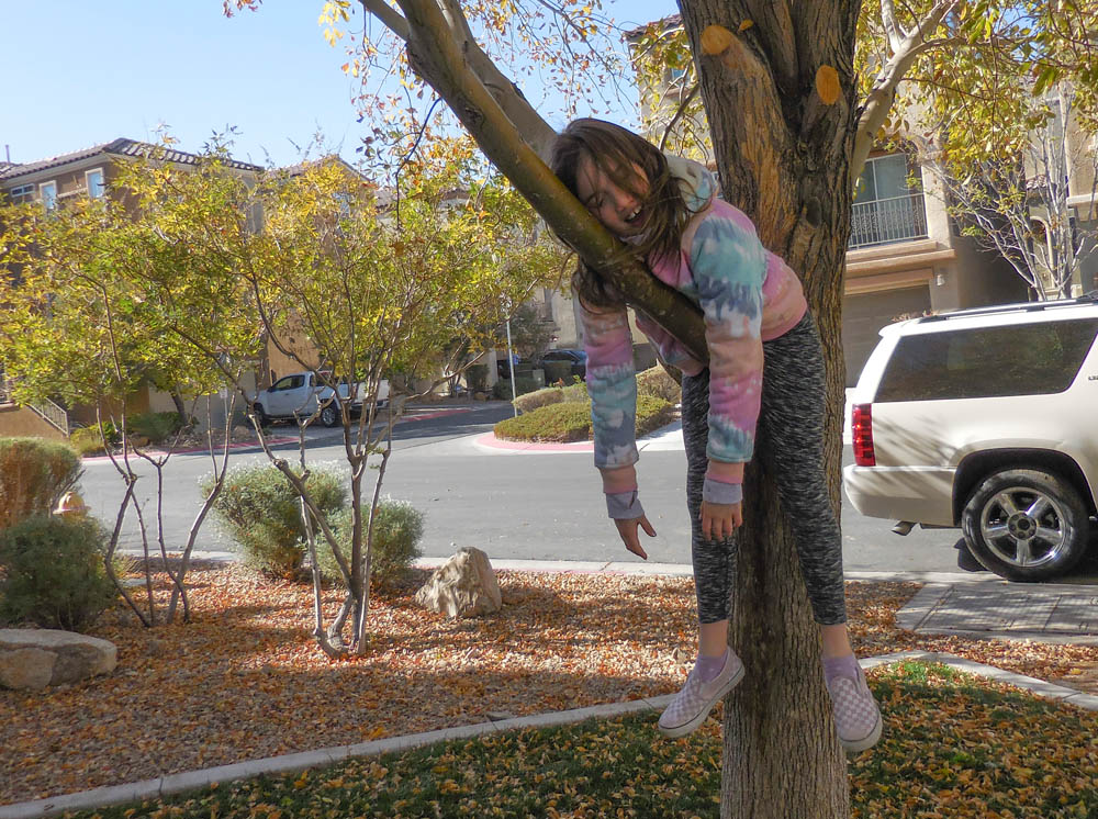 november_mandy in tree