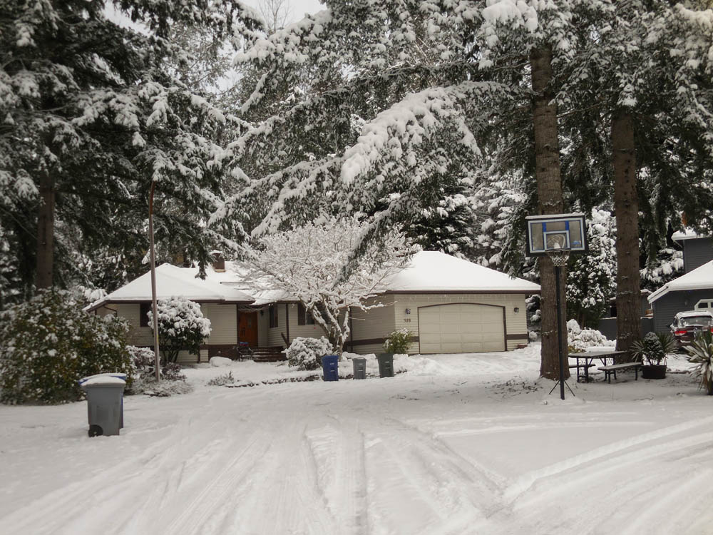 december_sarahs house