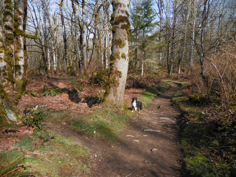 march_brooks at soaring eagle park