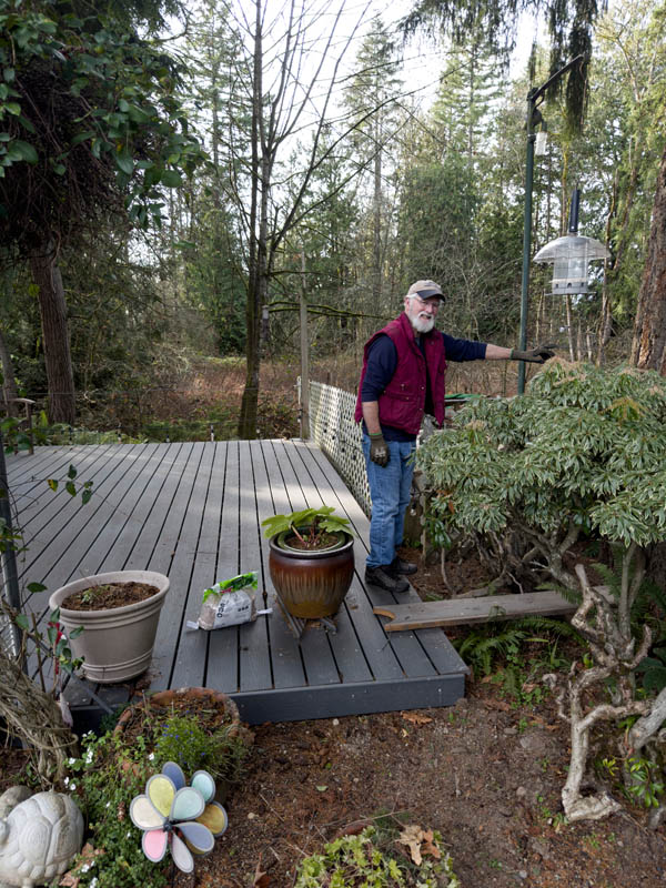 december_godfrey feeding birds