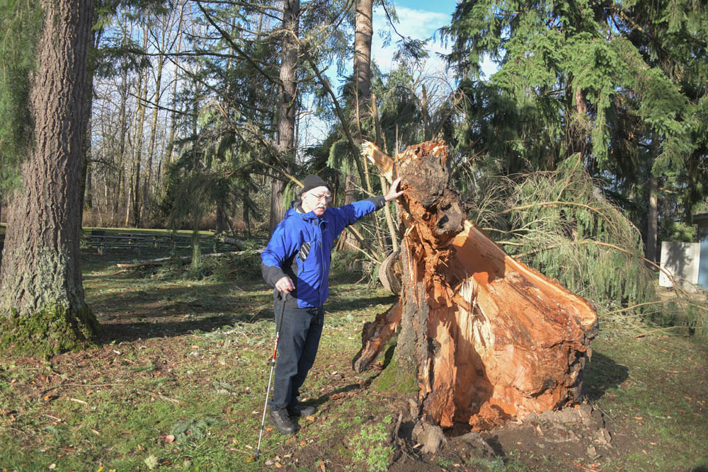 godfrey at lake sammamish park