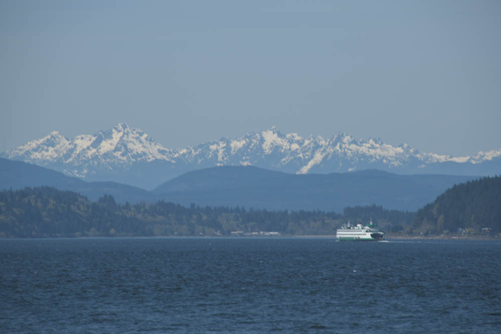 seattle ferry