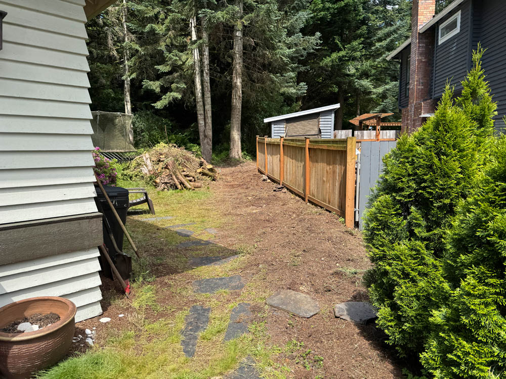 arborvitae removal
