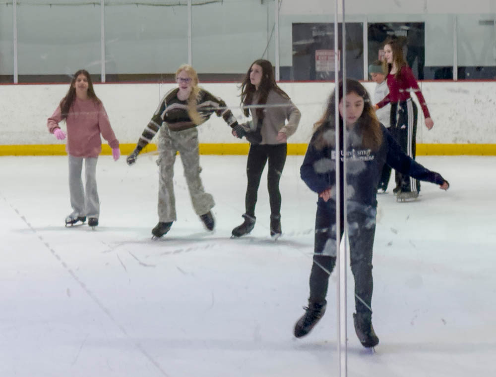 amanda 14th bday ice skating party