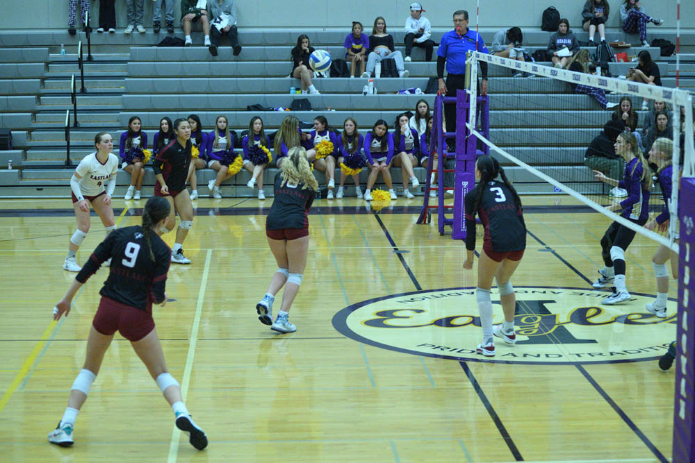 vs issaquah
