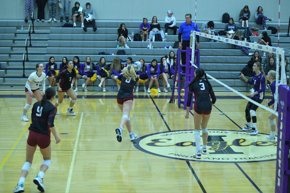 vs issaquah