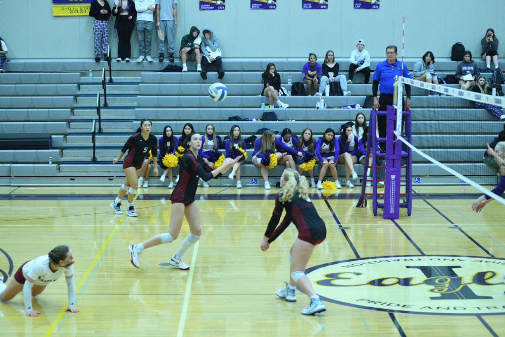 vs issaquah