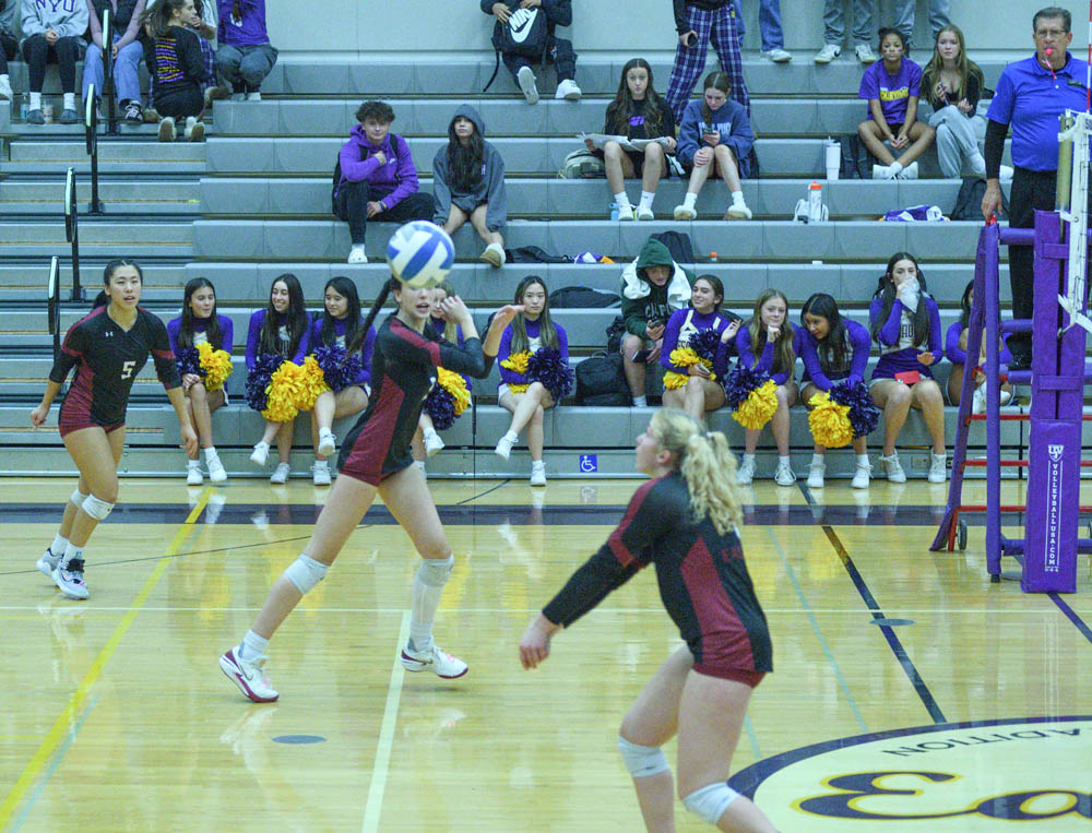 vs issaquah